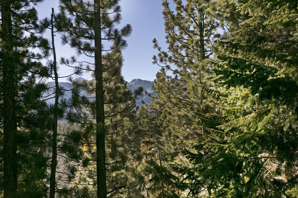 Mammoth Village Properties By 101 Great Escapes Mammoth Lakes Chambre photo